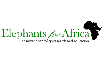 Elephants for Africa / Botswana
